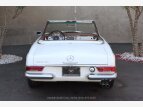 Thumbnail Photo 3 for 1967 Mercedes-Benz 250SL